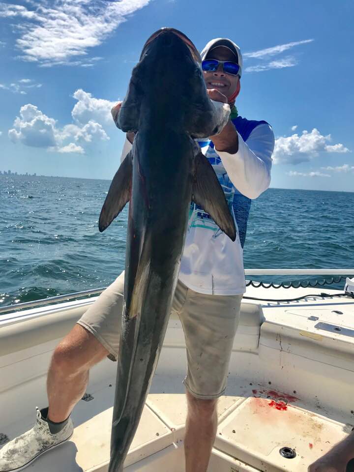 Shark Fishing in Tampa Fishing Charters